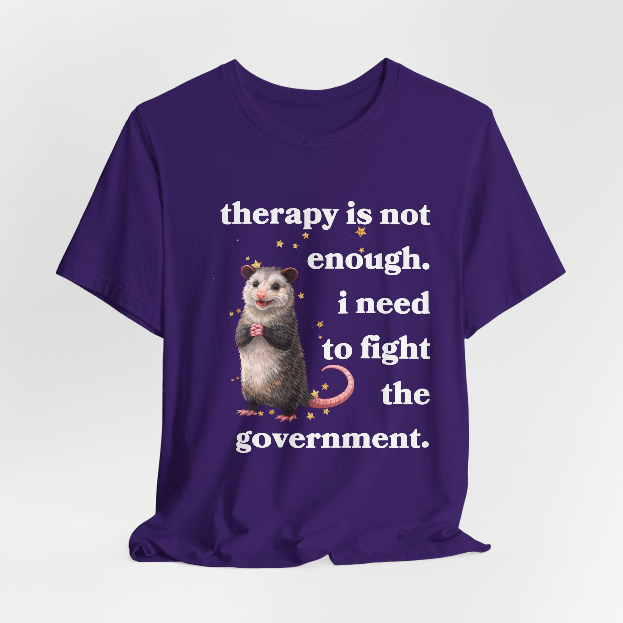therapy is not enough. i need to fight the government Bella + Canvas T-shirt