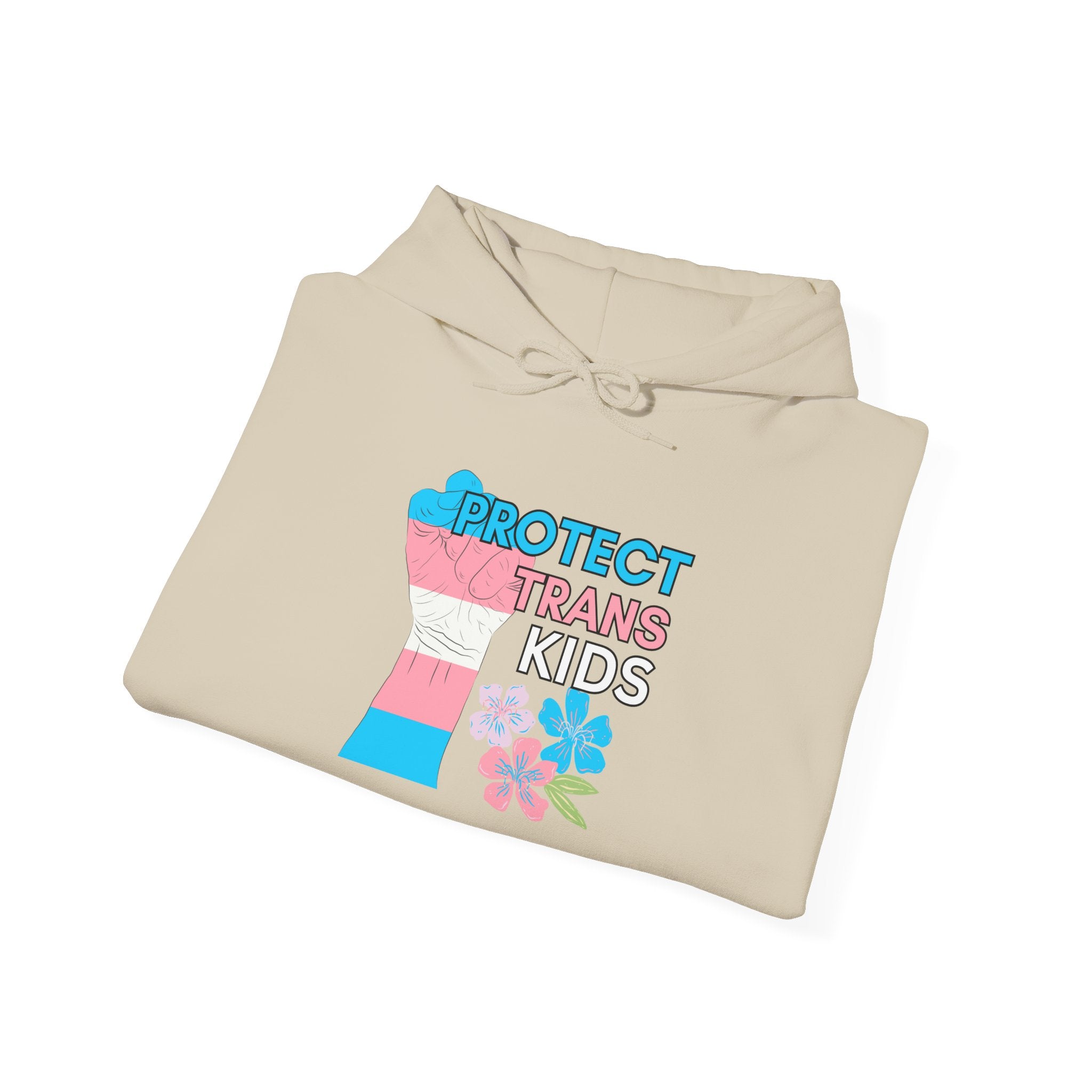 Protect Trans Kids Hoodie on Gildan Hooded Sweatshirt
