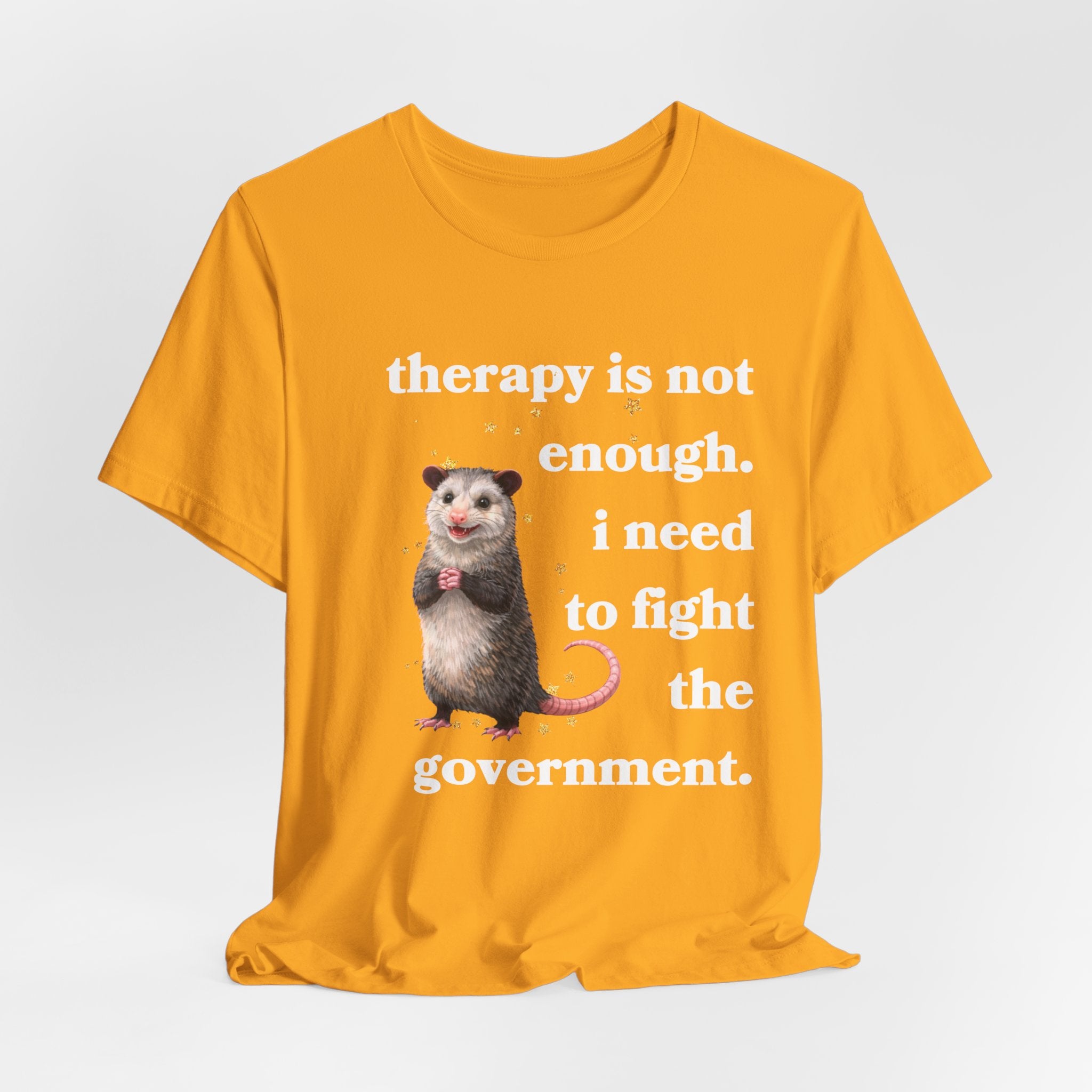 therapy is not enough. i need to fight the government Bella + Canvas T-shirt