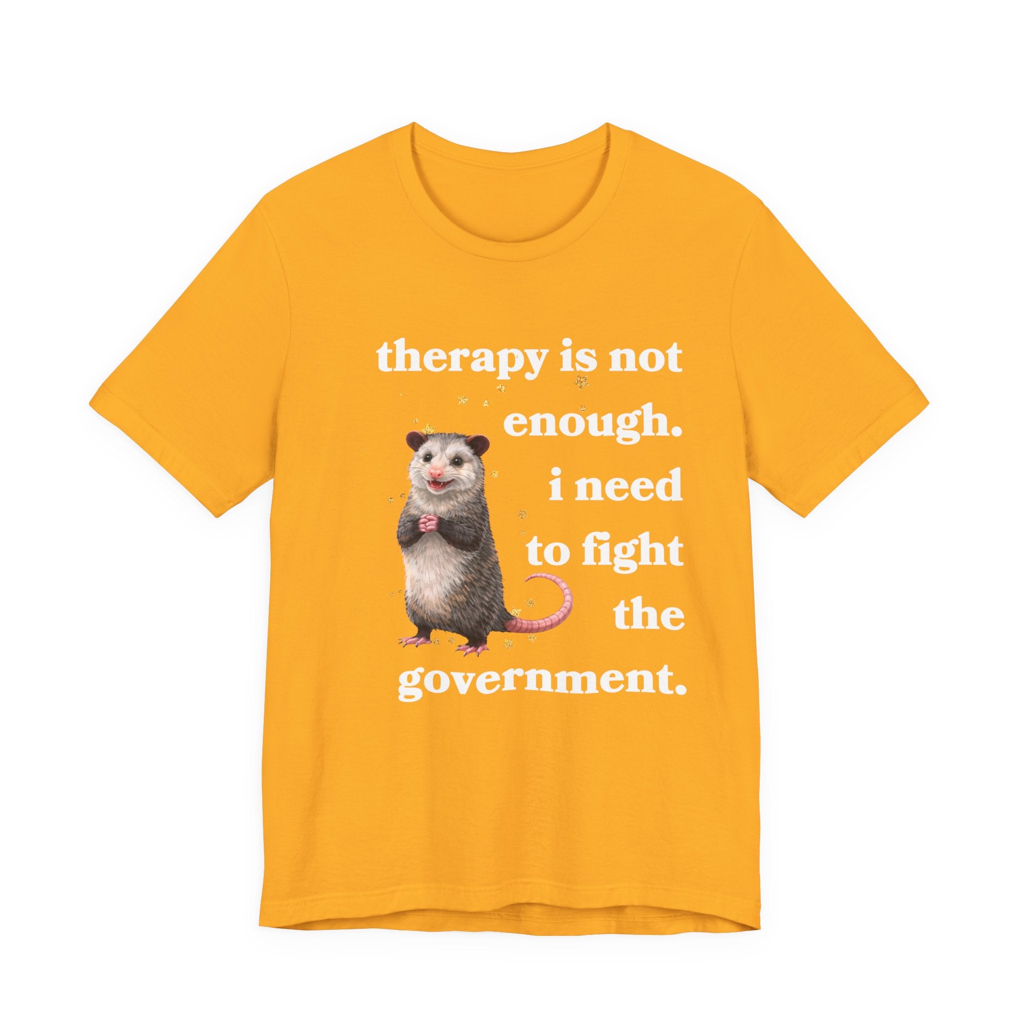 therapy is not enough. i need to fight the government Bella + Canvas T-shirt