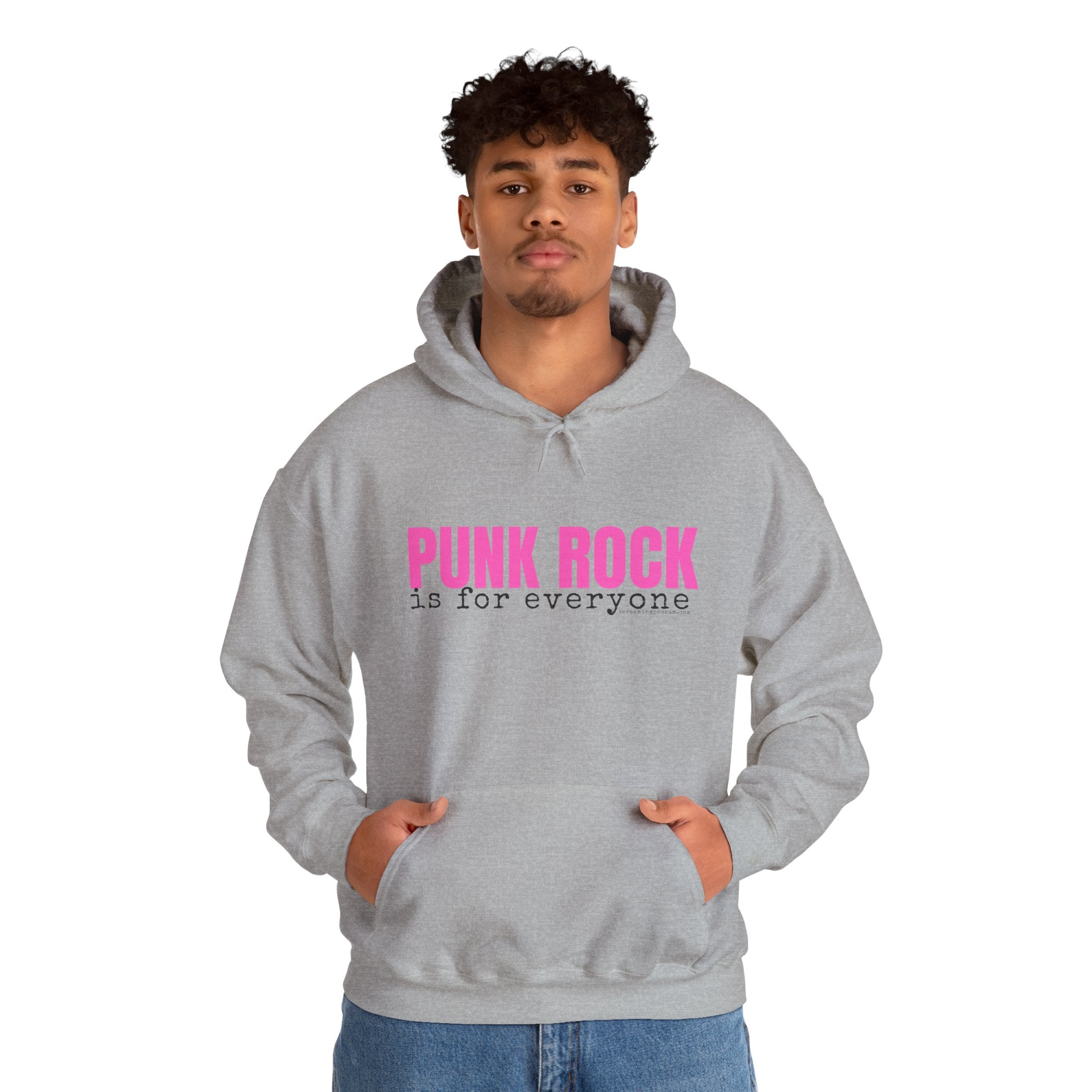 Punk Rock Is For Everyone Gildan Pullover Hoodie
