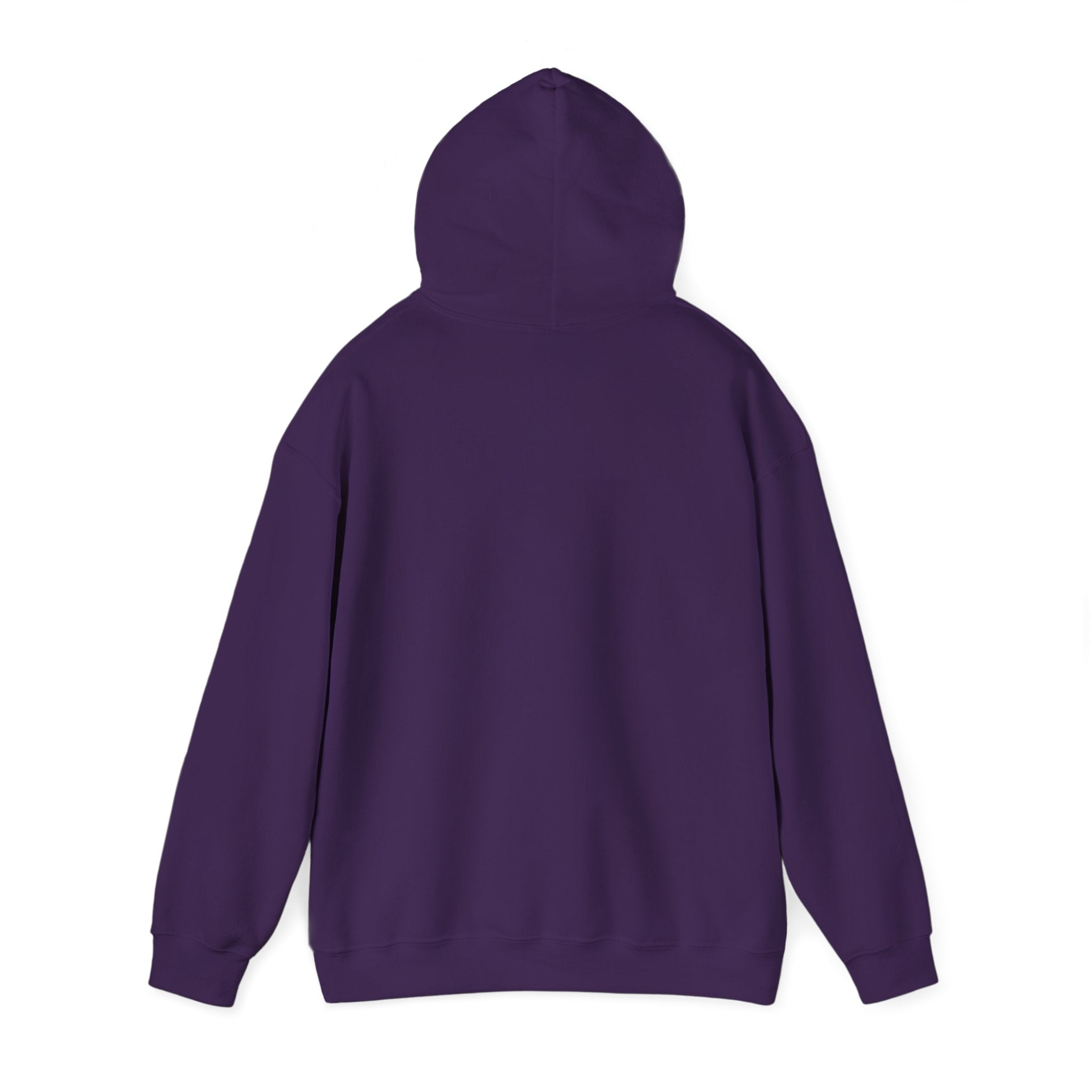 Hoodie — New York License Plate "JUST & MRD" Graphic