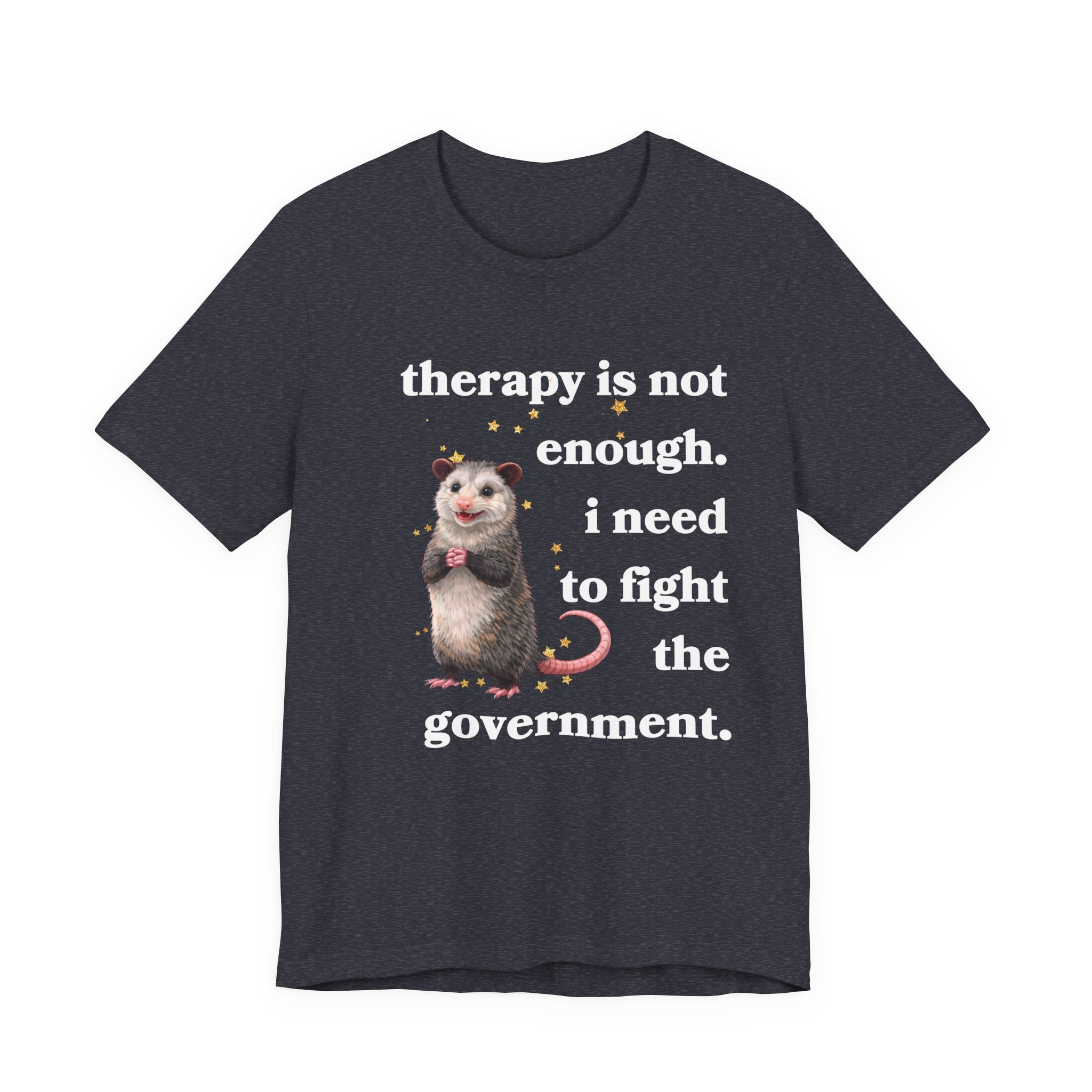 therapy is not enough. i need to fight the government Bella + Canvas T-shirt