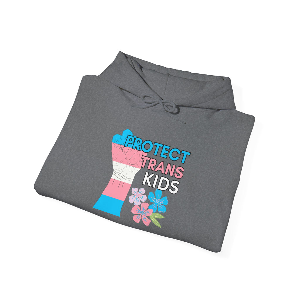 Protect Trans Kids Hoodie on Gildan Hooded Sweatshirt