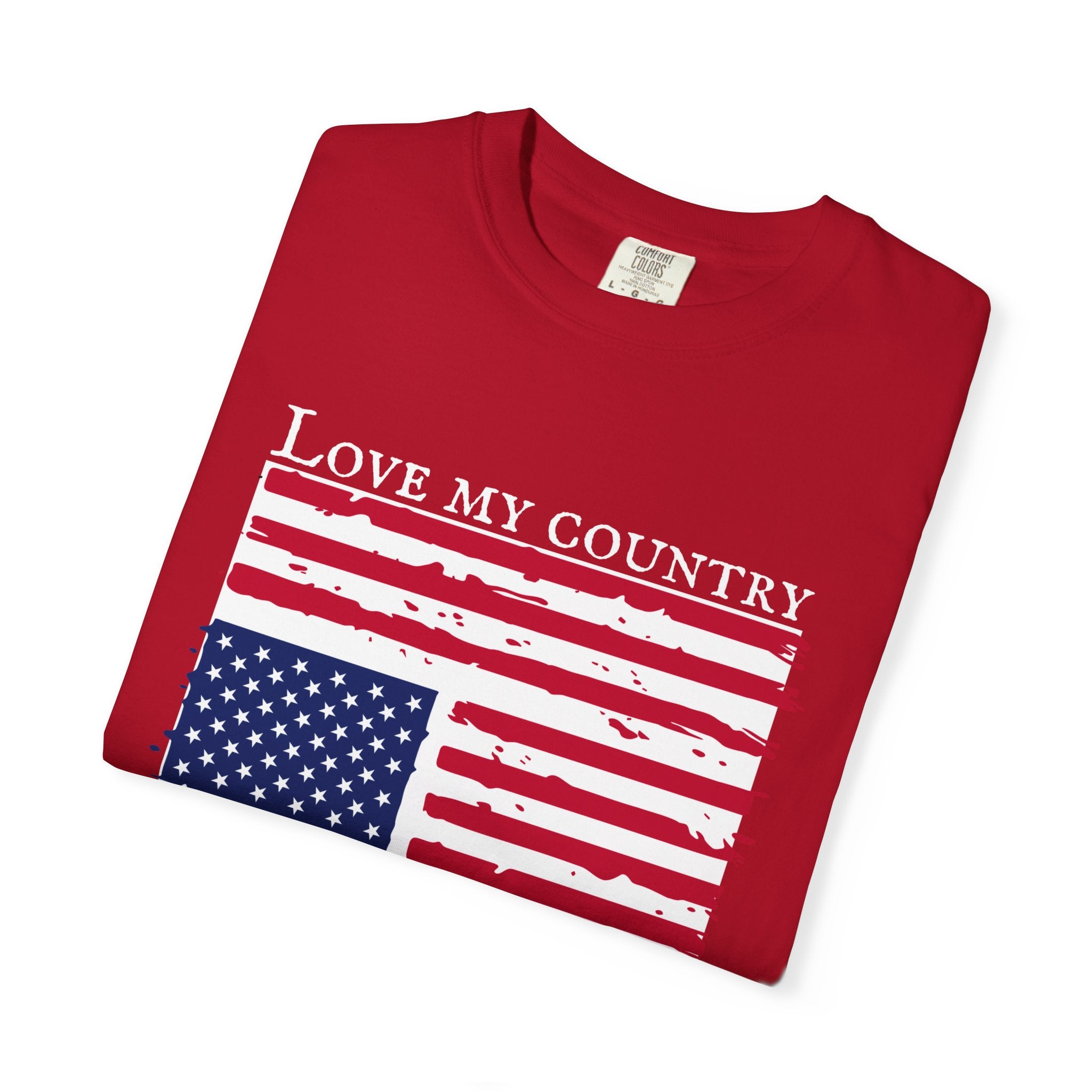 Love My Country, Ashamed of My Government Comfort Colors T-Shirt