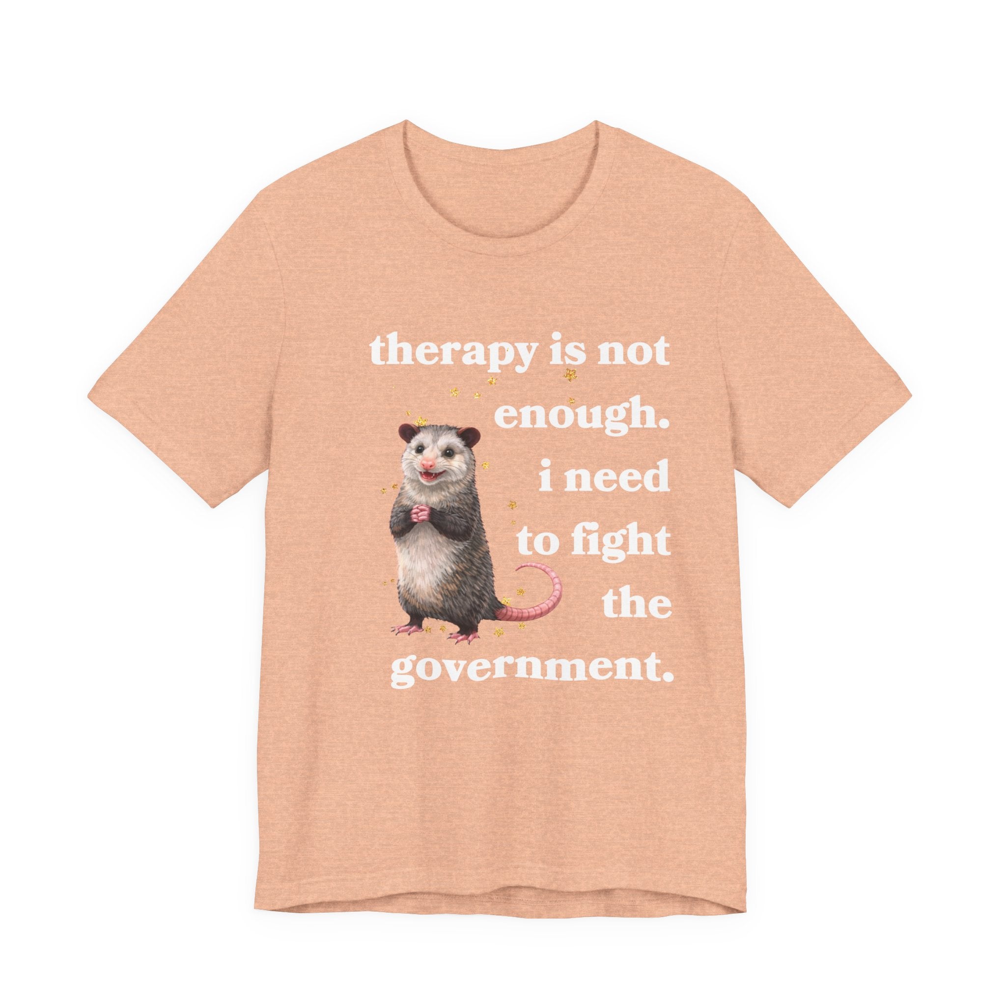 therapy is not enough. i need to fight the government Bella + Canvas T-shirt
