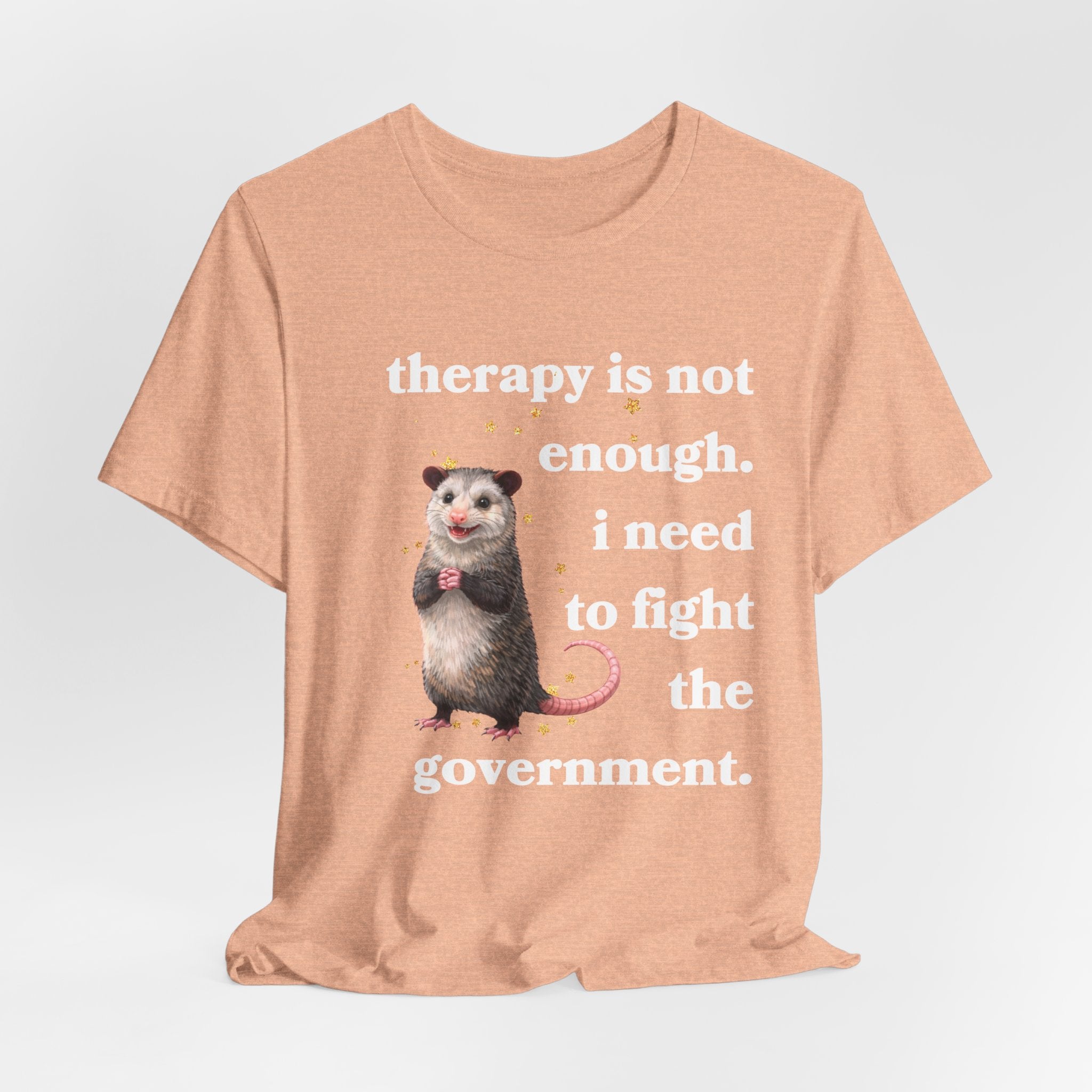 therapy is not enough. i need to fight the government Bella + Canvas T-shirt