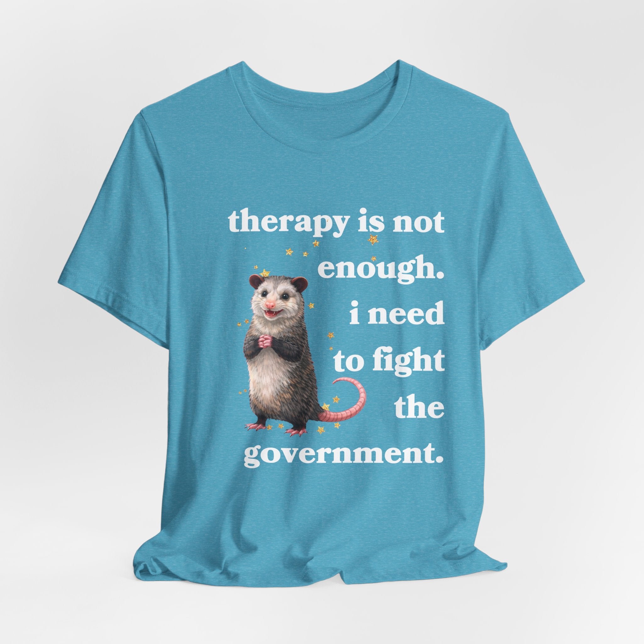 therapy is not enough. i need to fight the government Bella + Canvas T-shirt