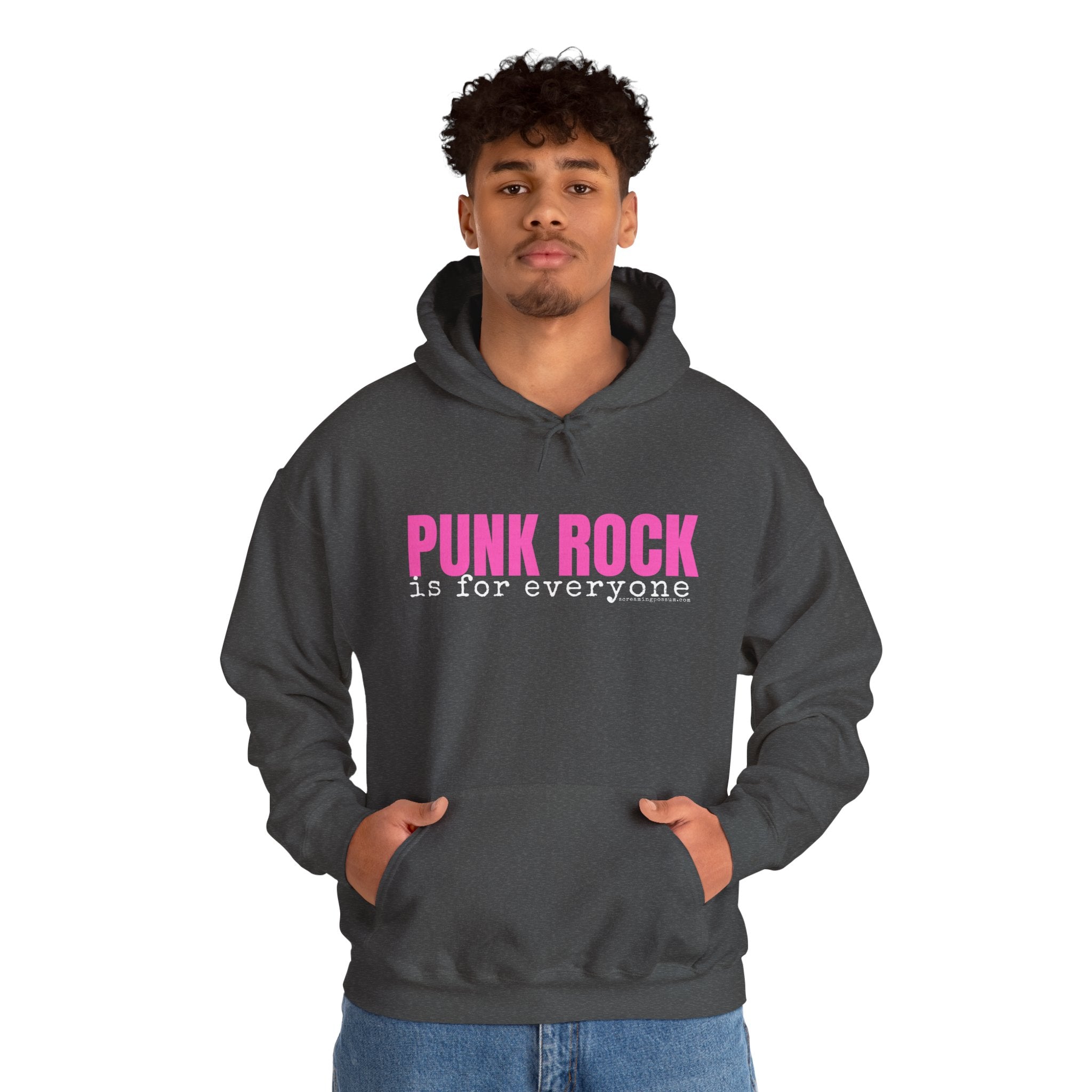 Punk Rock Is For Everyone Gildan Pullover Hoodie