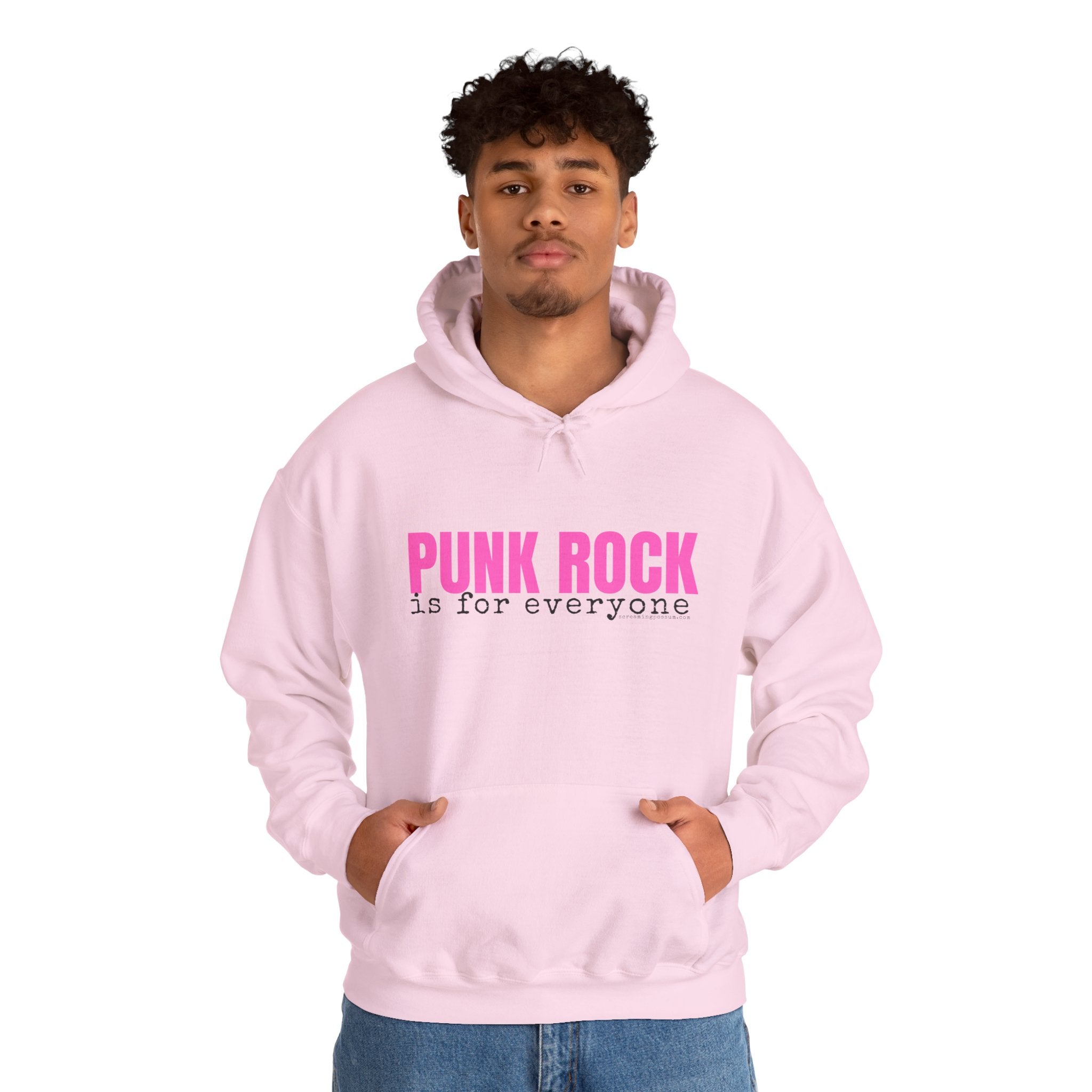 Punk Rock Is For Everyone Gildan Pullover Hoodie